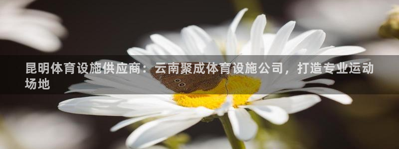 意昂体育3开户：昆明体育设施供应商：云南聚成体育设施