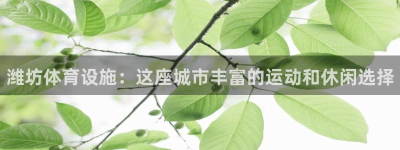 意昂体育3：潍坊体育设施：这座城市丰富的运动和休闲选